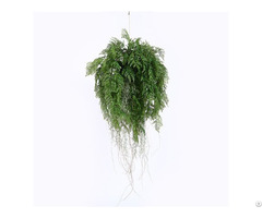 Plastic Hanging Ferns