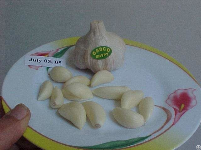 Fresh Peeled Garlic