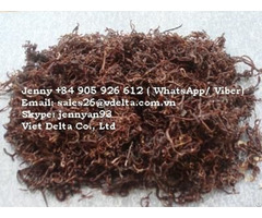 Dried Earthworm For Animals Jenny 84 905 926 612