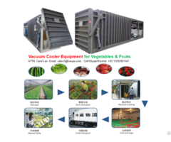 Vacuum Precooing Machine For Lettuce Mushrooms Cabbages And So On