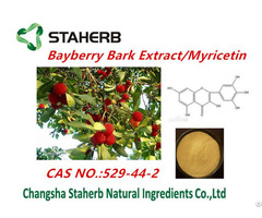 China Bayberry Bark Extract Of Myricetin