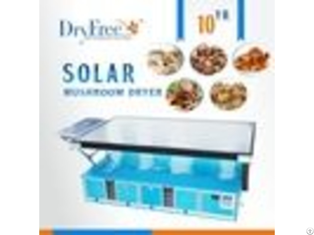 100 Percent Environmental Protection Morchella Solar Tray Dryer