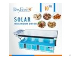 100 Percent Environmental Protection Morchella Solar Tray Dryer