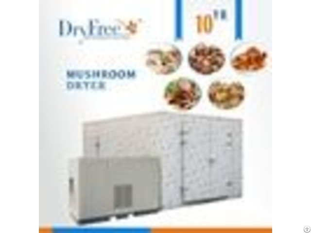 Hot Air Drying Oven Fish Machine