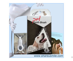 Best Dog Dental Care Keep Your Pet Teeth And Gums Healthy