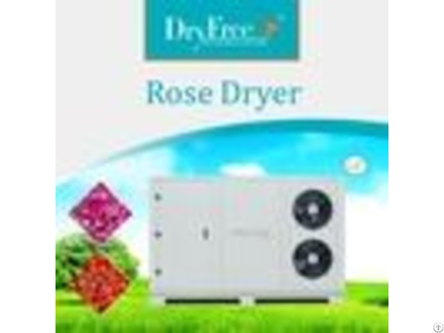 Energy Saving Rose Air Compressor Dryer