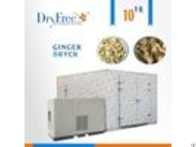 Industrial Food Dry Machine Vegetable Ginger Dehydration