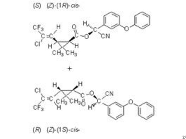 Lambda Cyhalothrin X Y Bio