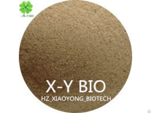 Amino Acid X Y Bio