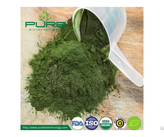 Organic Green Chlorella Powder