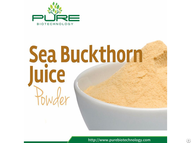 Natural Sea Buckthorn Berry Powder Extract