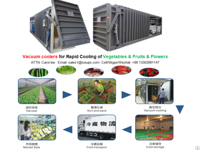 6pallet Vacuum Cooler For Lettuce Rapid Cooling After Harvest