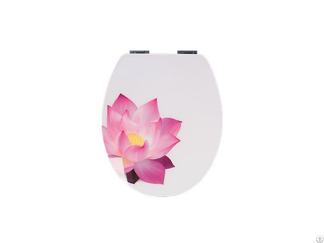 Toilet Seat Cover Supplier Colorfull Design Type