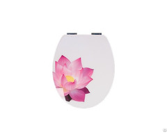 Toilet Seat Cover Supplier Colorfull Design Type