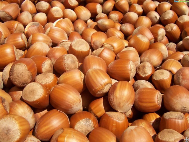 Macademia Nuts