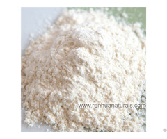 Manufacture High Quality Organic Garlic Powder Dehydrated Vegetables