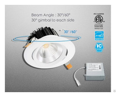 Commercial Led Gimbal Cob Downlight