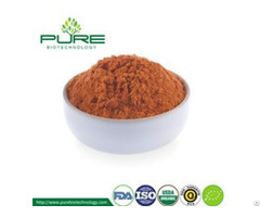 Goji Berry Powder Organic Certified