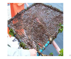 Copper Alloyfishcage