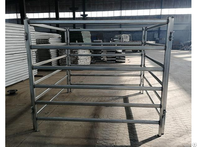 Cattle Panel