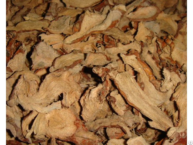 Dried Galangal