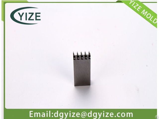 Custom Precision Mould Parts Supplier In Dongguan