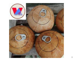 Fresh Coconut With Ring Pull