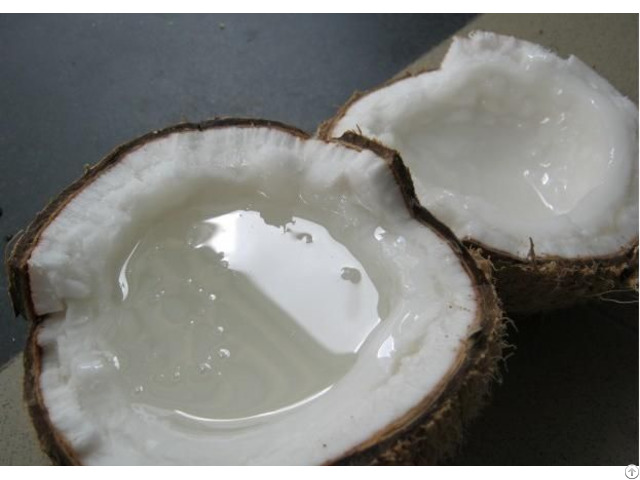 Wax Coconut Full Inside