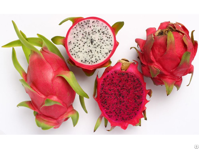 Fresh Dragon Fruit