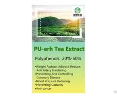 Pu Erh Tea Extract