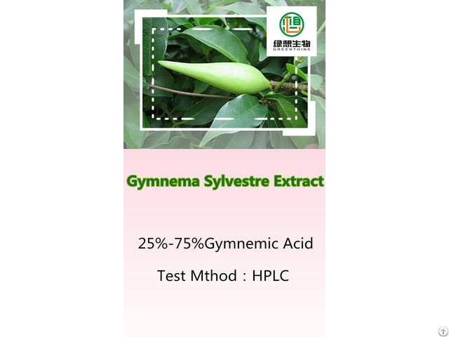 Gymnema Sylvestre Extract