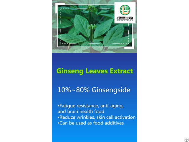 Ginseng Leaves Extract