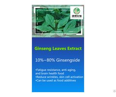 Ginseng Leaves Extract