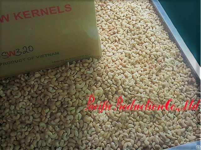 Cashew Vietnam Sw320