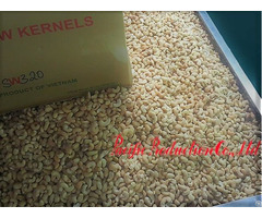 Cashew Vietnam Sw320