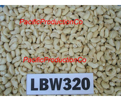 Cashew Vietnam Lbw320