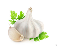 Fresh White Indian Garlic