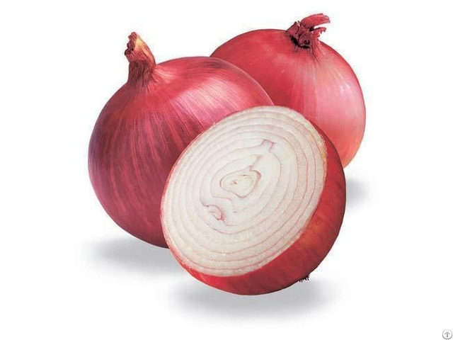 Fresh Red Indian Onion