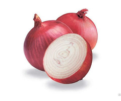 Fresh Red And White Indian Onion