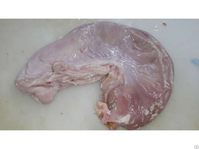 Pork Stomach