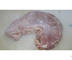 Pork Stomach