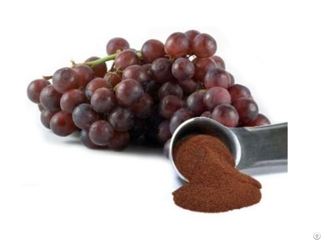 100 Percent Natural Anti Oxidant Grape Seed Extract