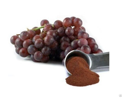 100 Percent Natural Anti Oxidant Grape Seed Extract