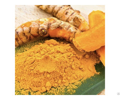 Pure Natural Turmeric Root Extract Powder 95 Percent 98 Percent Curcumin