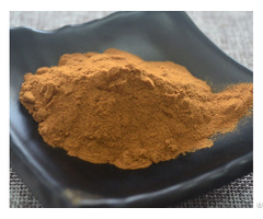 Rhodiola Rosea Extract For Beverages