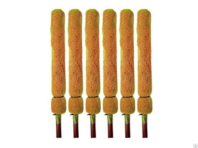 Coconut Fiber Stick