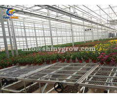 Greenhouse Rolling Benches Welded Wire Mesh Expanded Metal Bench Top