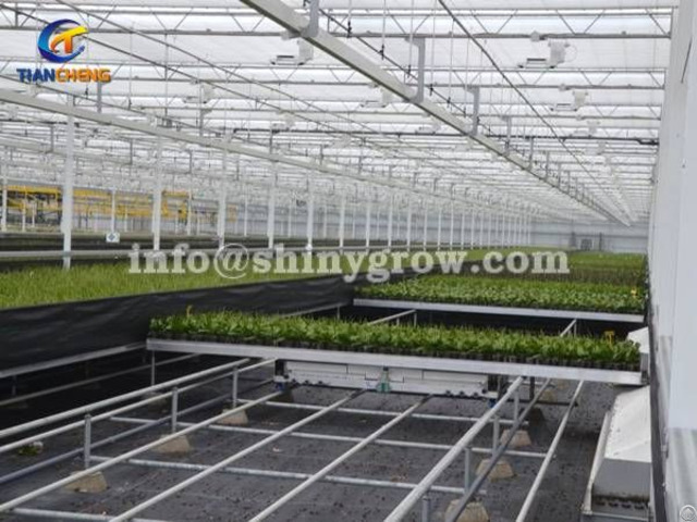 Shuttle Rolling Bench System Greenhouse Automation Solution