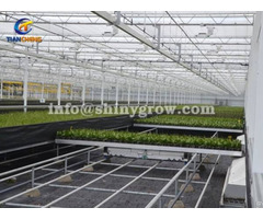 Shuttle Rolling Bench System Greenhouse Automation Solution
