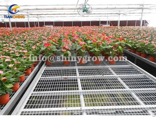 Stationary Metal Greenhouse Benches For Commercial Nursery